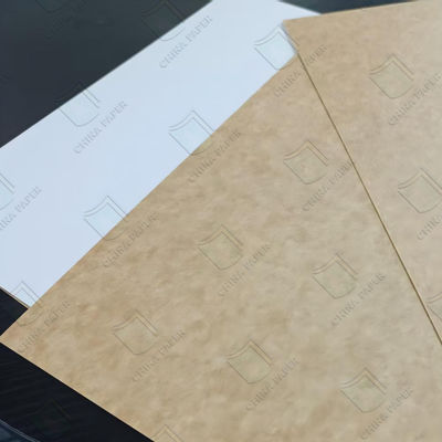 Food Grade Coated Kraft Back Board CKB Moisture Proof 600x900mm 700x1000mm